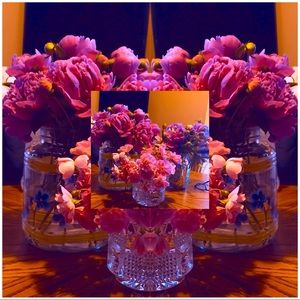 Meet your Posher, Dee